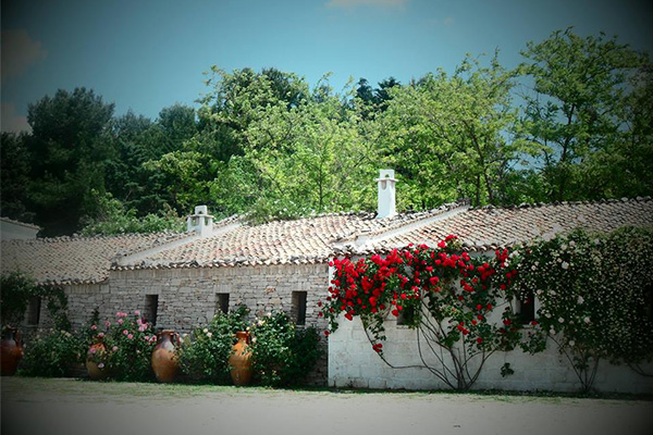 2masseria-barbera-minervino